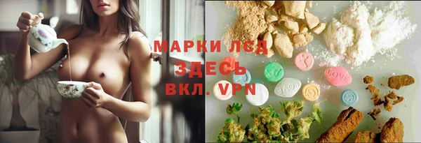 крисы Алексин