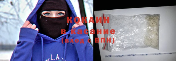 крисы Алексин