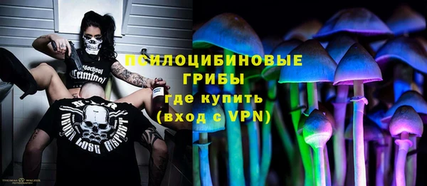 крисы Алексин